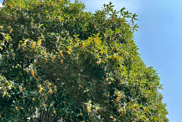 ΢��ͼƬ_20241021085347 (2).jpg