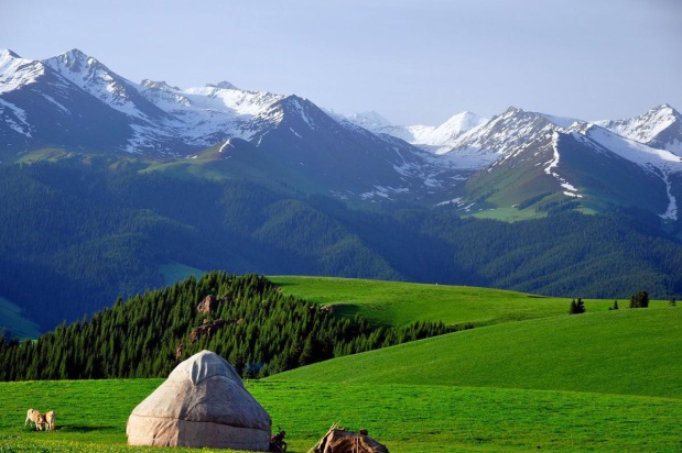 image0071111111 (2).jpg